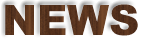 NEWS コモドからのお知らせ